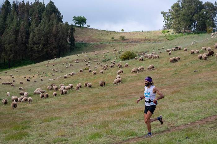 Andrés Santana durante Entre Cortijos 2023, a su paso por Monte Gusano.