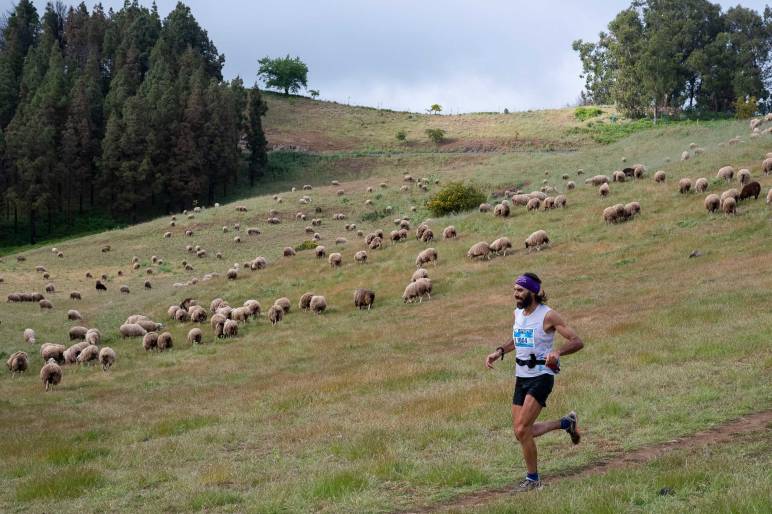 Andrés Santana durante Entre Cortijos 2023, a su paso por Monte Gusano.